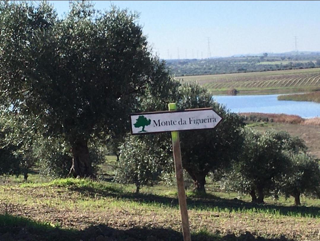 Willa Monte Da Figueira Amareleja Zewnętrze zdjęcie